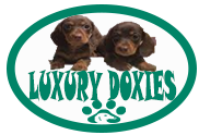 luxury Doxies